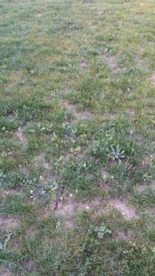 20160719_210159.jpg