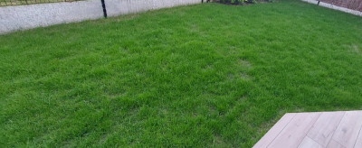 20221011_190454.jpg
