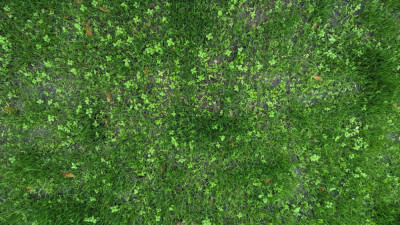 PXL_20221026_070000508.jpg
