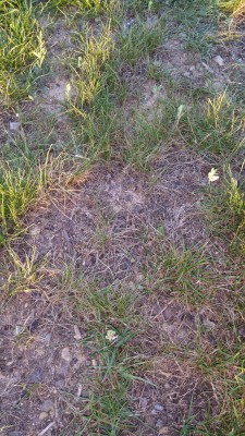 20160719_210022.jpg
