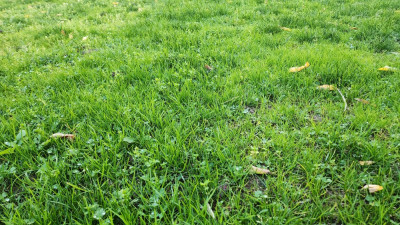 20221121_160823.jpg