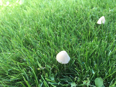 IMG_7869.jpeg
