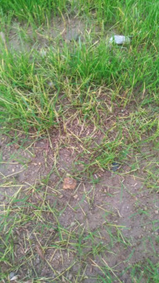 P_20221126_164742_vHDR_Auto.jpg