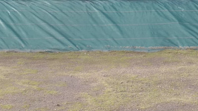 P_20221106_145805_vHDR_Auto.jpg