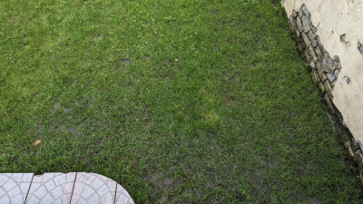 PXL_20230106_115605728.jpg