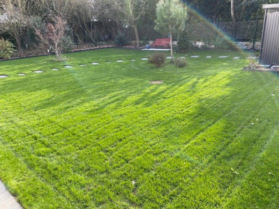 Jardin 2023-02 n°07.jpg