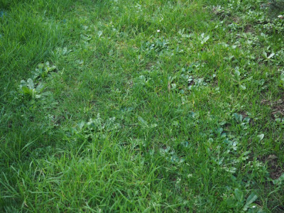 P1010390.JPG
