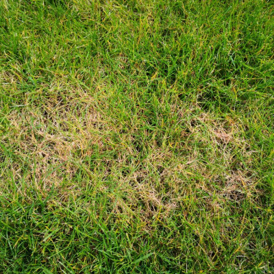 IMG_20230411_121838.jpg