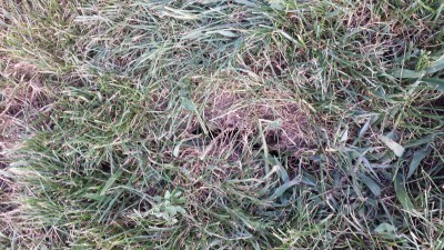 20160728_184124.jpg