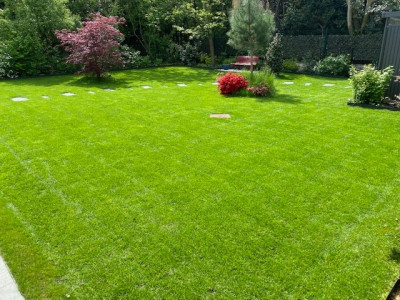 Photo hier à J+21 après rénovation de printemps