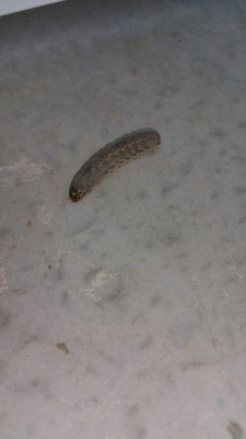 20160730_112135.jpg