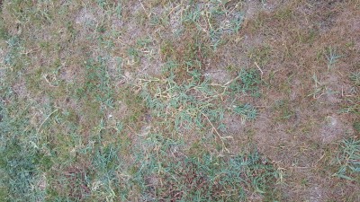 20150508_091940.jpg