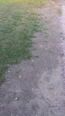 20160807_205422.jpg