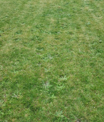 SmartSelect_20240502_202739_Gallery.jpg