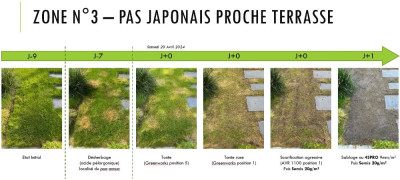 Pas Japonais proche terrasse