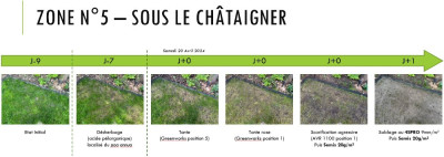 Sous le Châtaigner
