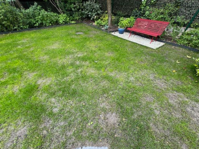 Fond du jardin à J+14
