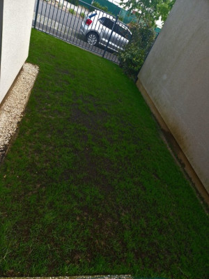 20240506_133136.jpg