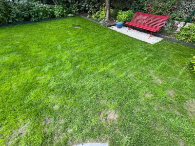 Fond du jardin à J+21