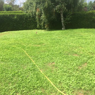environ 3 semaines après le semis