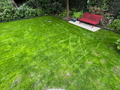Fond du jardin à J+28