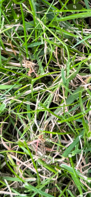 IMG_2962.png