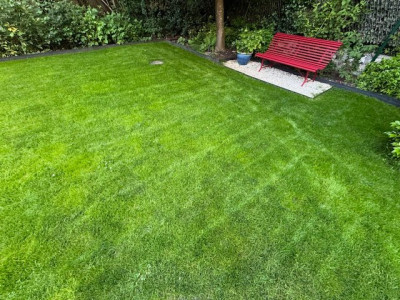 Fond du jardin à J+42
