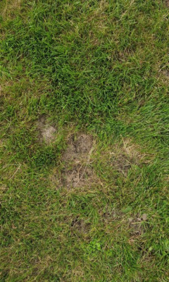20240608_131443.jpg