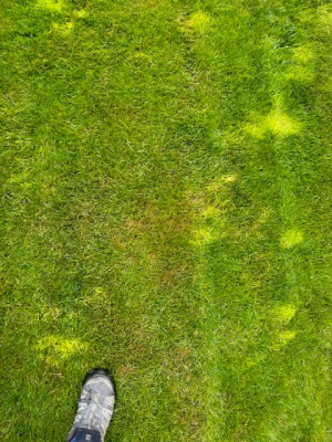 Tache vu de haut (n°2)