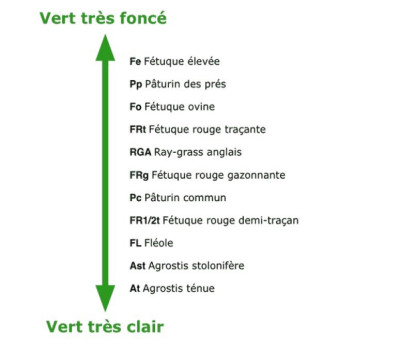 Couleur Gazons.jpg