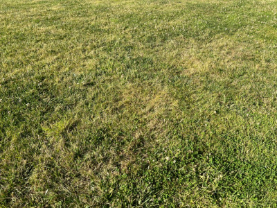 IMG_5405.jpeg