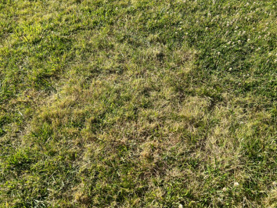 IMG_5404.jpeg