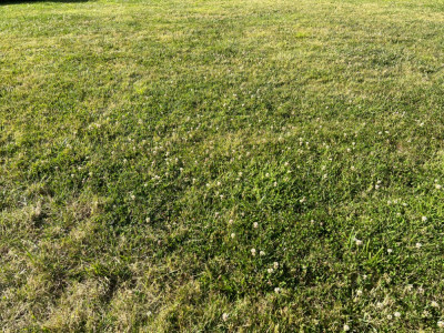 IMG_5403.jpeg