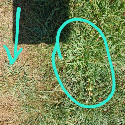 20240809_113934.jpg