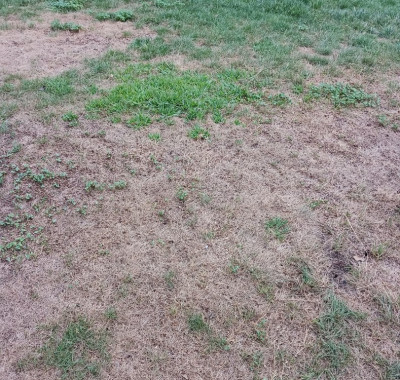 20240813_191857.jpg