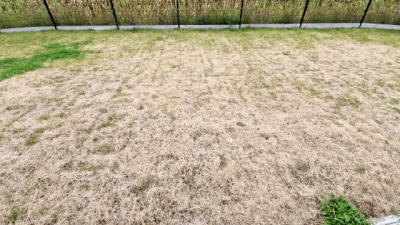 20241002_170023.gif