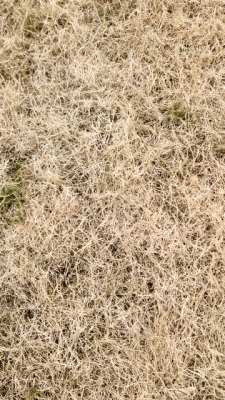 20241002_165954.gif