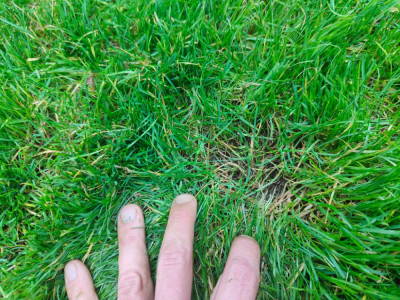IMG20241007121719.jpg