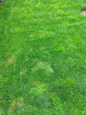 IMG20241031101610.jpg