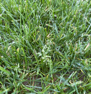 IMG_3026.jpeg