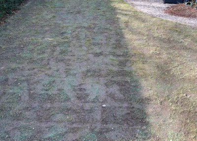 IMG_0062.jpeg