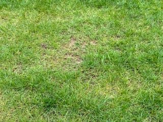 IMG_3630.JPG