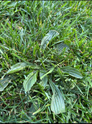 IMG_7078.jpeg