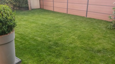 20160815_195028_resized.jpg