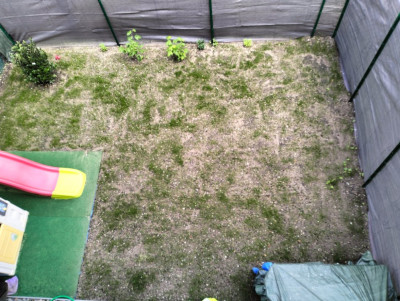 IMG20250424163502.jpg