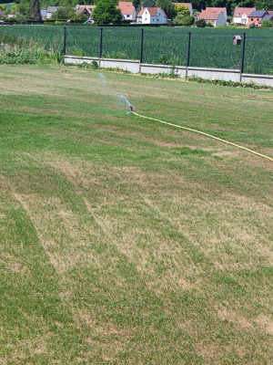 IMG_20250501_135318.jpg