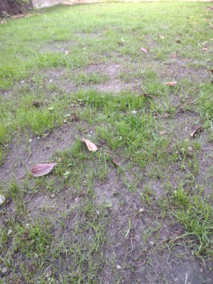 image000000(2).jpg