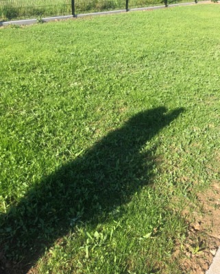 IMG_1017.jpeg