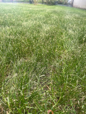 IMG_4082.jpeg