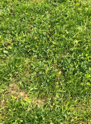 IMG_1114.jpeg